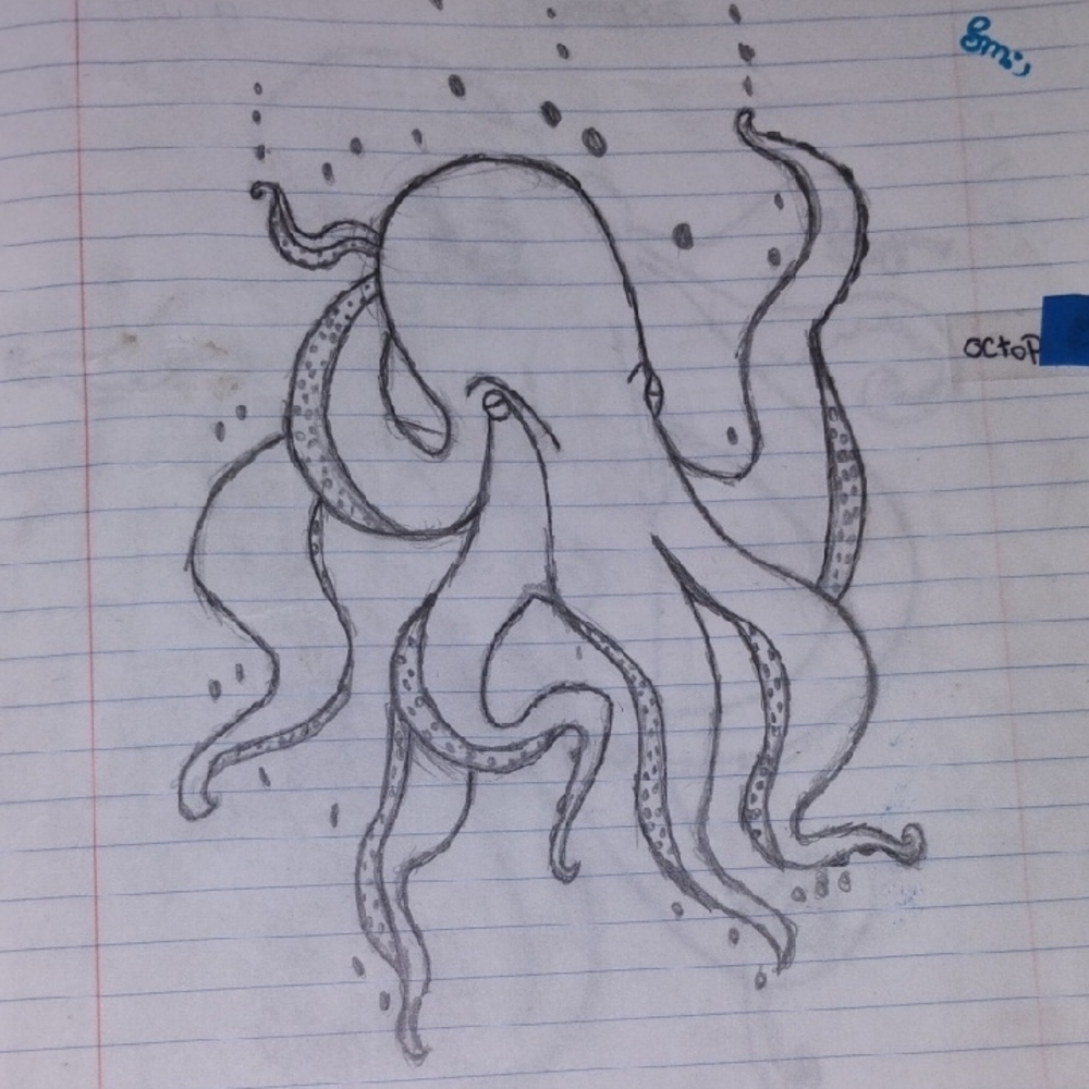Gray Octopus Sketch Art